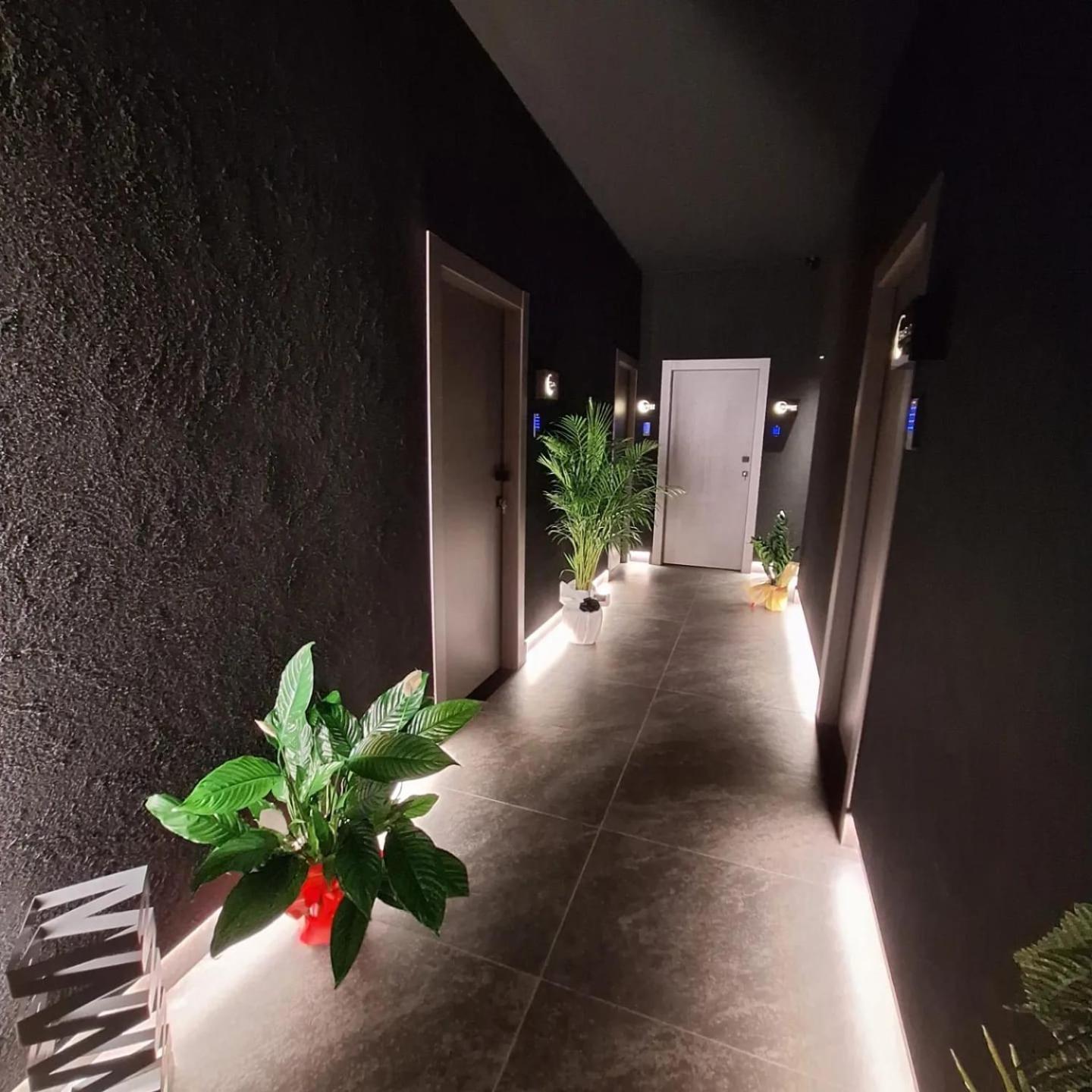 Dark & Light & Luxury Guest house *
